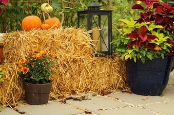 Garden in A Straw Bale