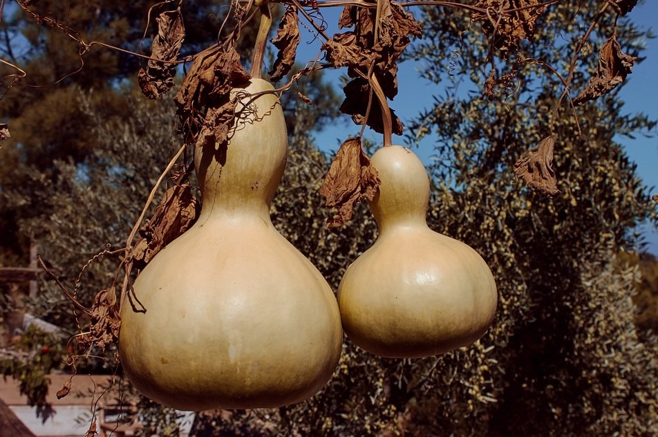 Gourd Crafts