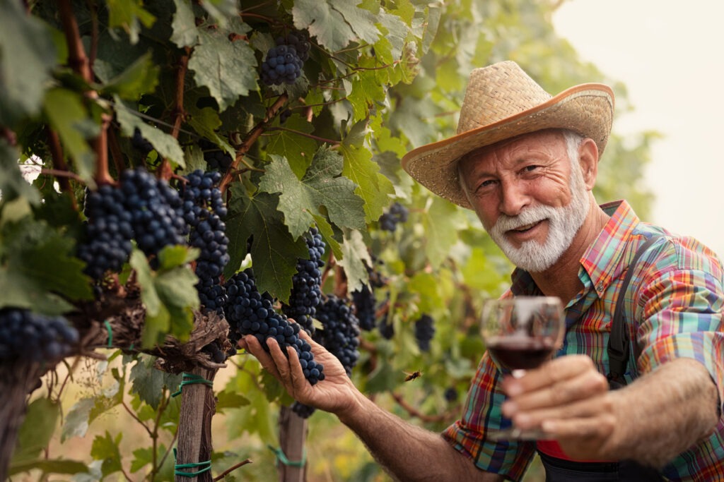 Smiling senior winemaker with a white beard with a glass of white wine in the vineyard