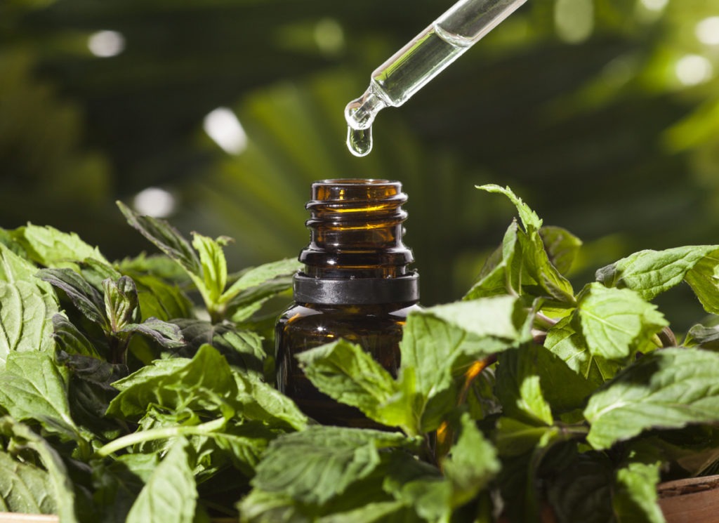Mint Essential Oil