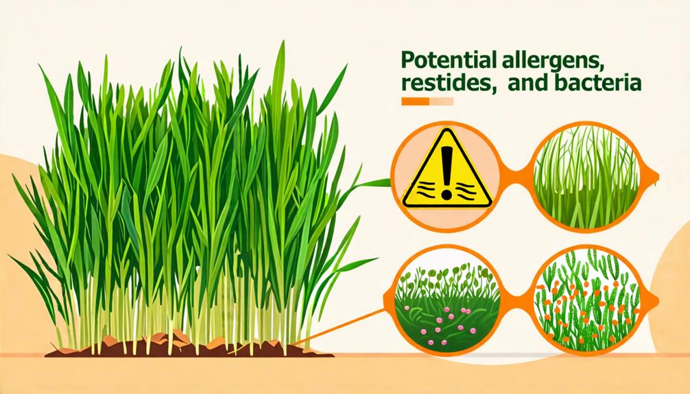 safety and risk management