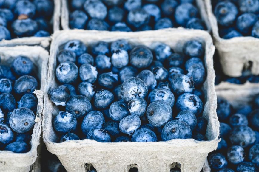 Blueberries could be the perfect fruit for July