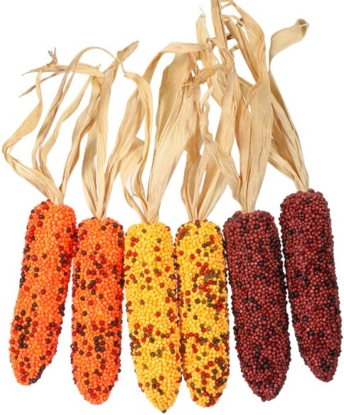 Colorful Corn Decorations