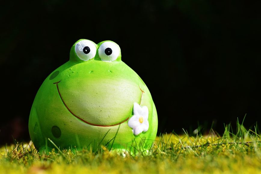 Image of a funny green frog craft.