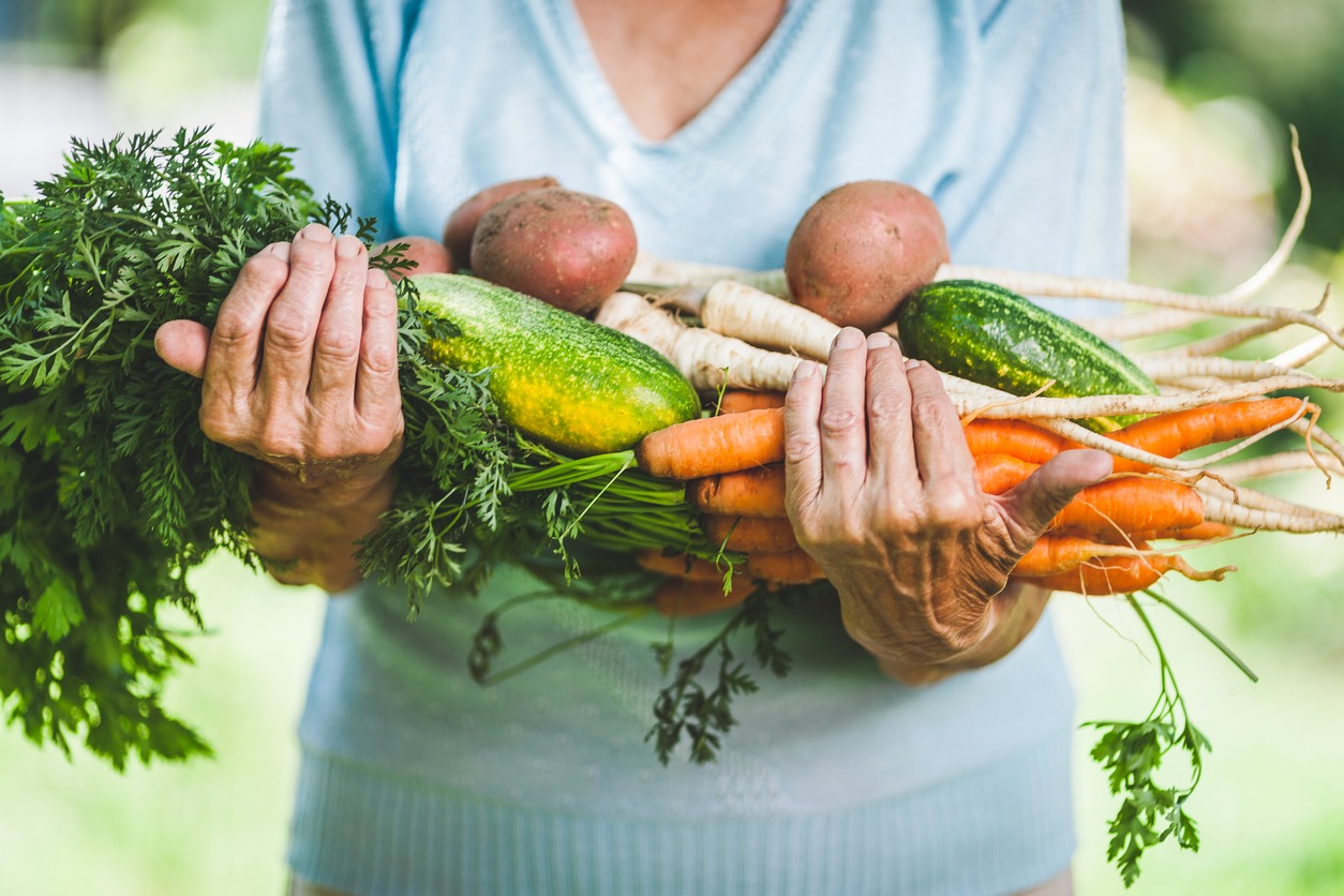 Senior woman holding fresh crop from her garden