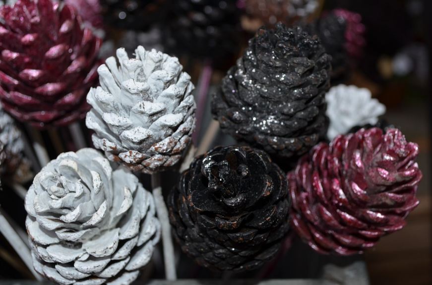 Some uniquely colored pinecones for decorative purposes