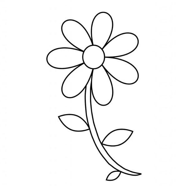 a floral outline for coloring