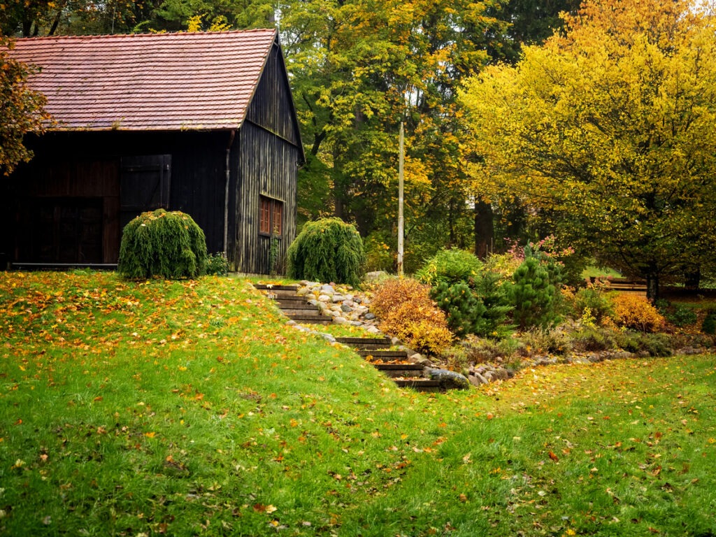 black wooden old hut in a backyard of a countryside farm in autumn golden foliage season