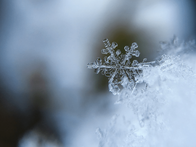 snowflake during winter season