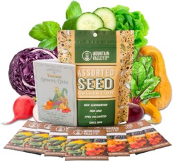 Summer-Garden-Heirloom-Vegetable-Seeds--5-000-Total-Seeds-7-Varieties-of-Seeds-to-Sow-in-Summer-Months--Beet-Lettuce-Radish-Basil-Cabbage-Cucumber-Squash-Heirloom-Seeds-for-Planting