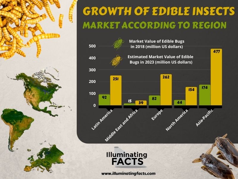 Growth of Edible Insect Market According to Region