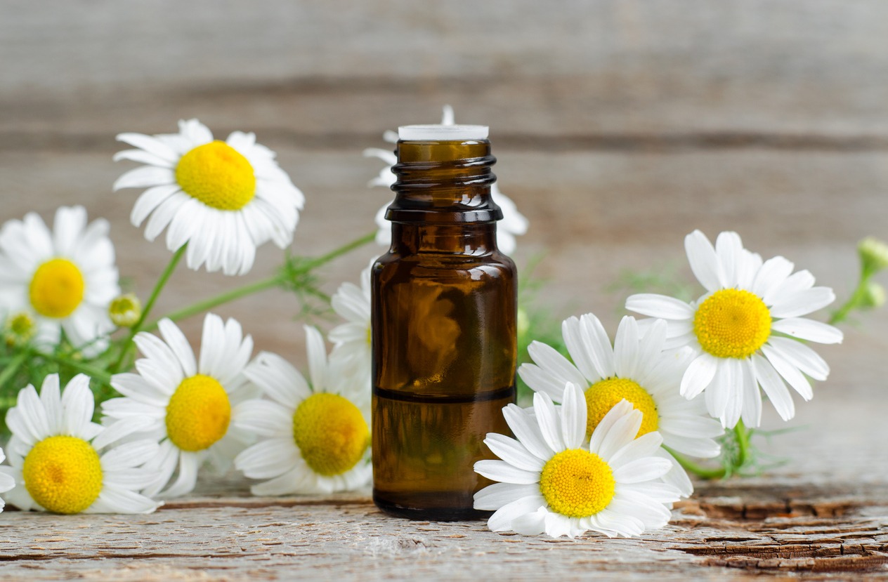 a bottle of chamomile oil 