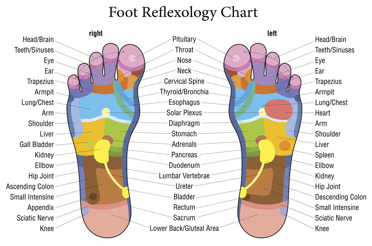 foot reflexology chart