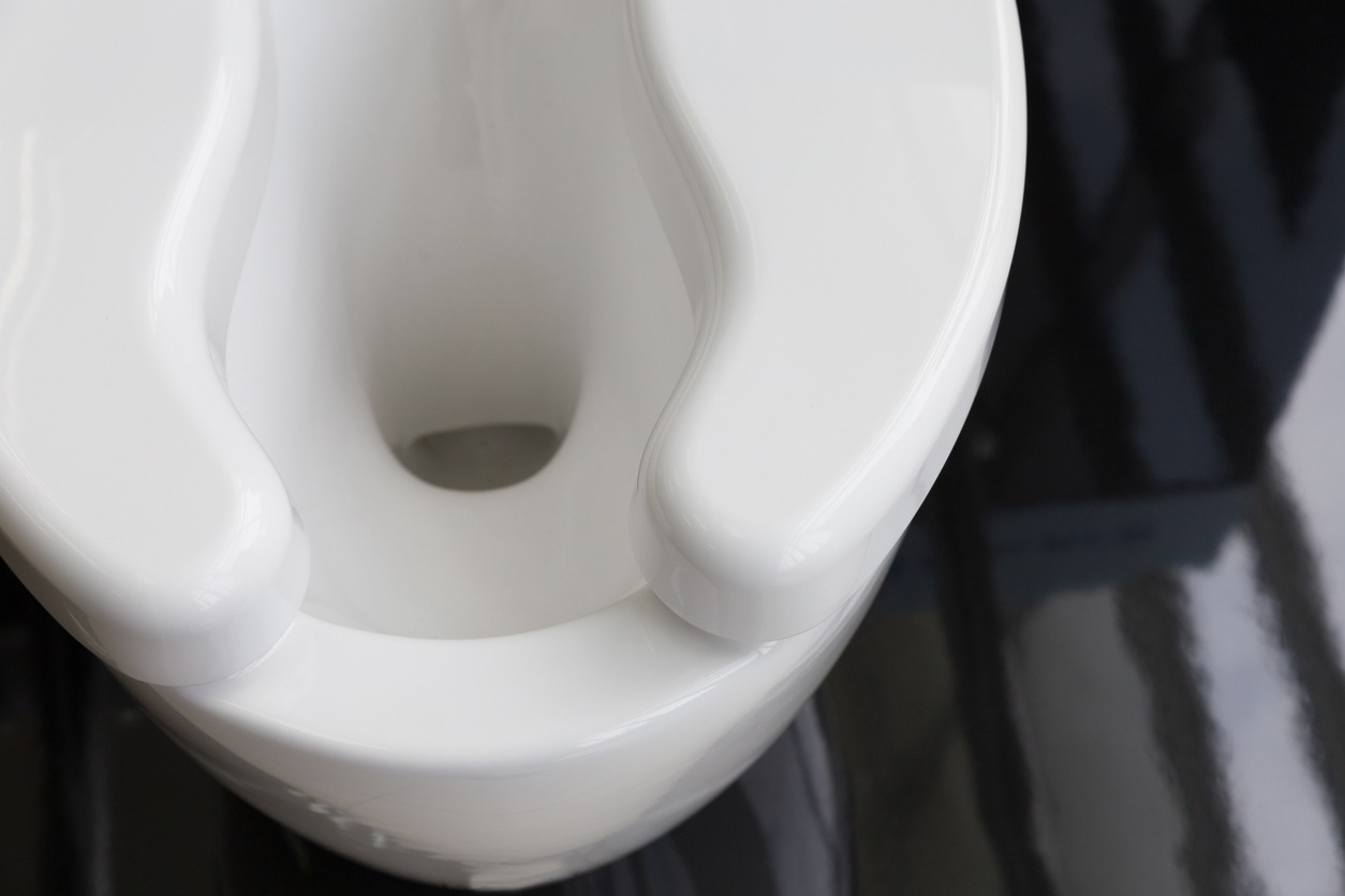 toilet bowl with a raised toilet seat